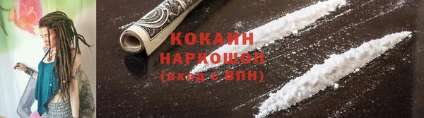 прущие грибы Абдулино