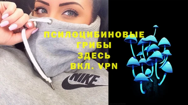 прущие грибы Абдулино