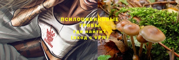 мяу мяу мука Абаза